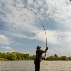 OMC Black Pearl Rods