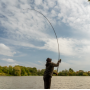 OMC Black Pearl Rods