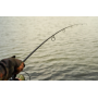 OMC Black Pearl Rods