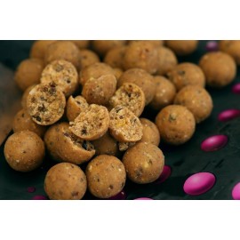 Manilla Boilies